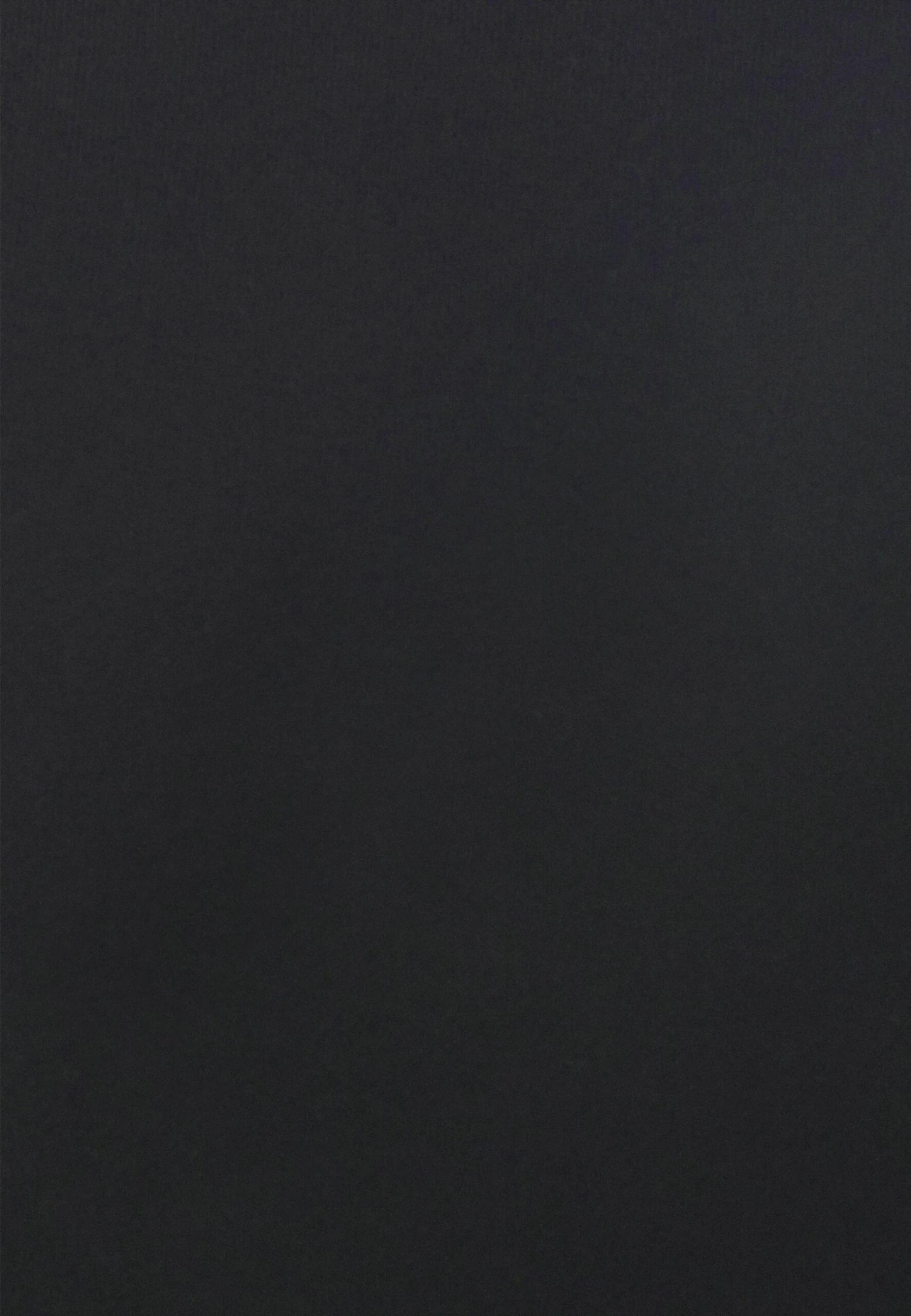 Hoodie Long Without Drawcord And Pocket - Hoodie - Black